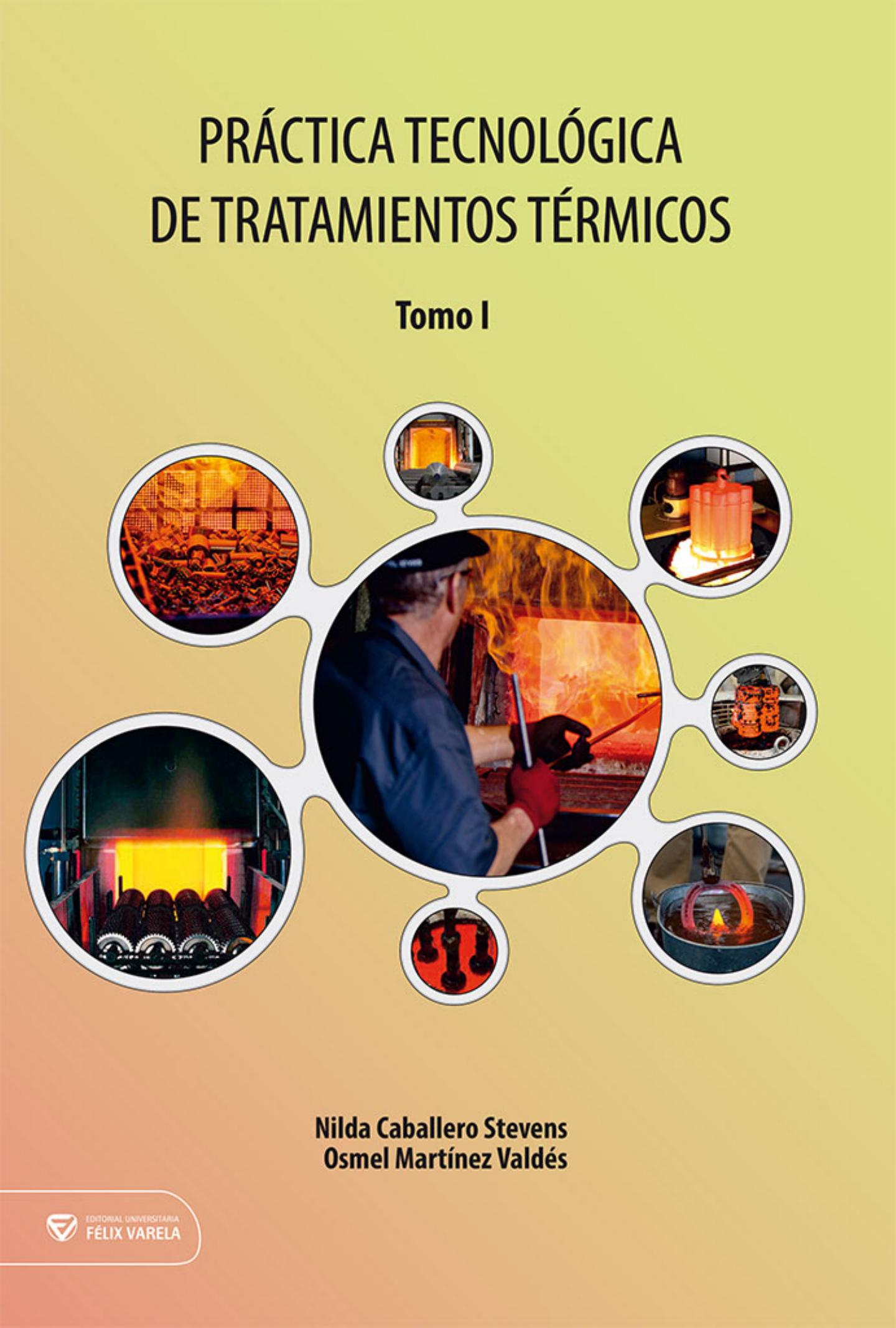 Práctica Tecnológica de Tratamientos Térmicos. Tomo I