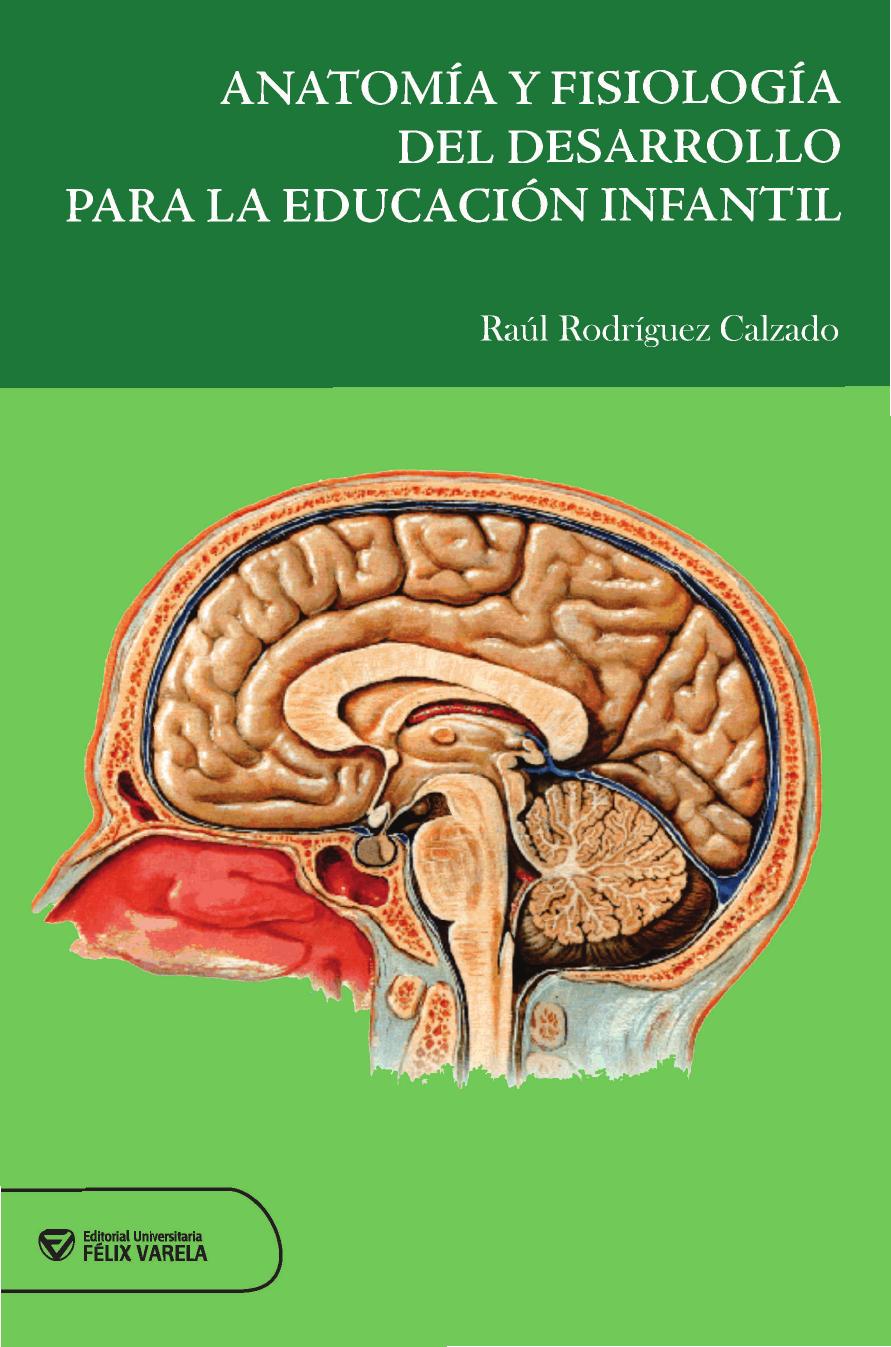 Anatomía y fisiología del desarrollo para la educación infantil