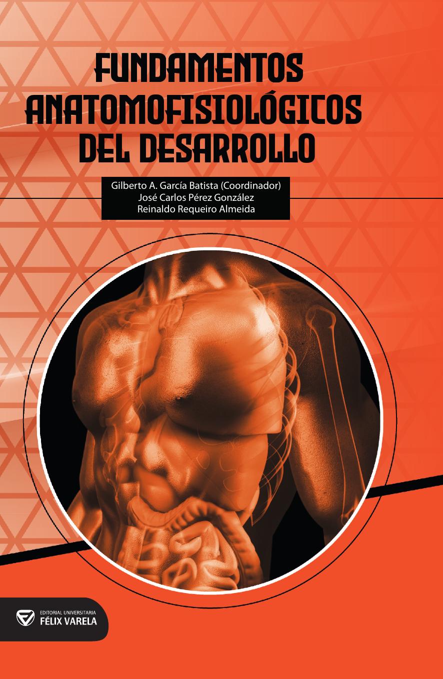 No hay una imagen disponible